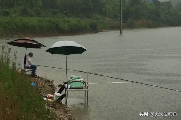 秋季釣魚,什麼天氣最可能爆護?其實沒有最好,只有更好 秋季釣魚,什麼天氣最可能爆護?其實沒有最好,只有更好