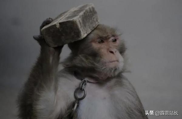 中國足球，看的我想哭