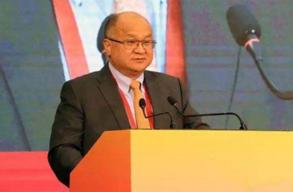 逆襲為百億富豪的秦榮華，從日本買10000根木頭：這本就是中國的