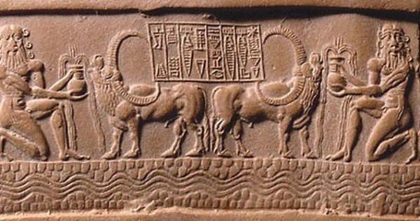 聊聊人類的好朋友——牛