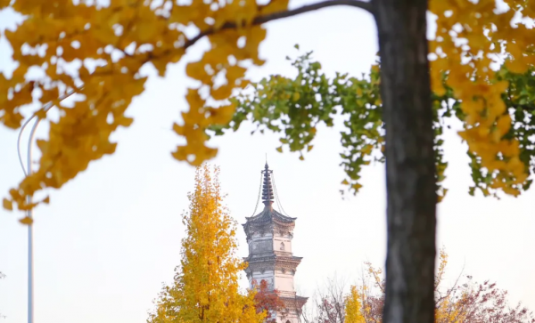 龍游味道:充滿辣與甜的人間煙火 龍游味道:充滿辣與甜的人間煙火