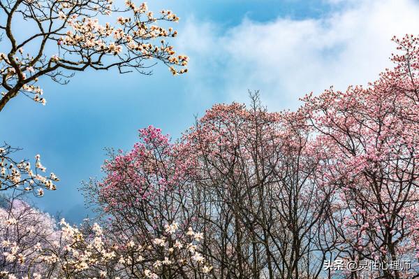 感恩傷害我的人,他們讓我大徹大悟。一個心理師內心真實的感想 感恩傷害我的人,他們讓我大徹大悟。一個心理師內心真實的感想