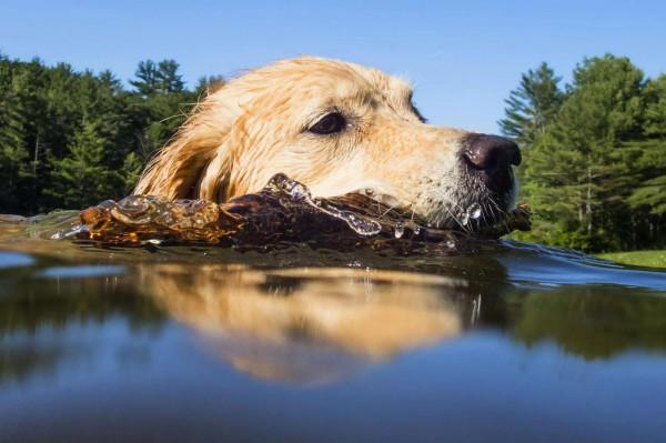 國家地理，每日精選雜誌