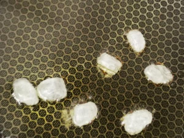 大西北黃燜羊排