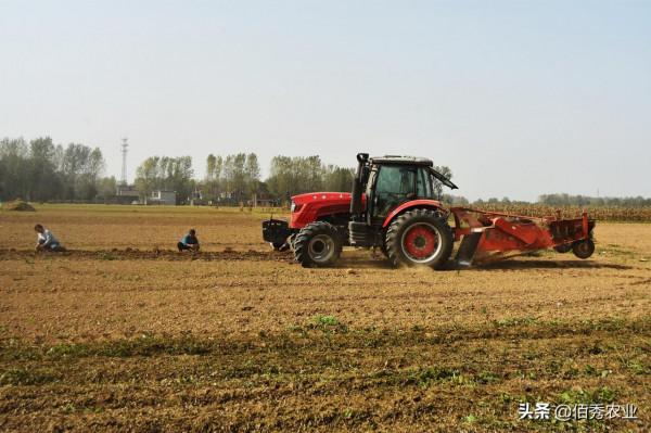 農村青年返鄉創業,投入百萬元進入農業,如今進退兩難,咋回事? 農村青年返鄉創業,投入百萬元進入農業,如今進退兩難,咋回事?