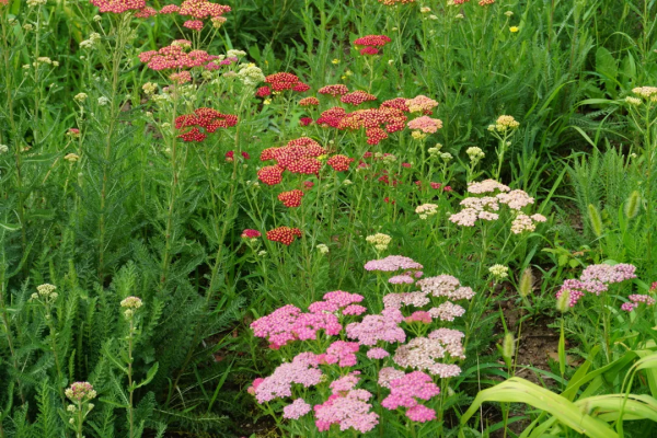 京城這個爆火的4A級景區，你打卡了嗎？快收下這份經典路線攻略，跟著走就行！