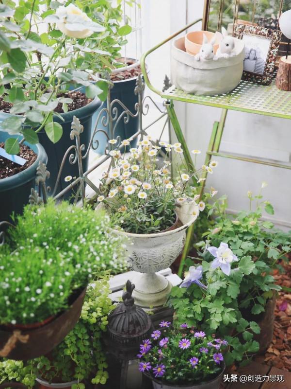 5平米的陽臺，改造之後種滿了花，居然可以美成這樣