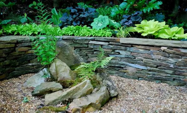 石頭縫裡這樣玩，它也可以成為庭院裡一道亮麗的景緻