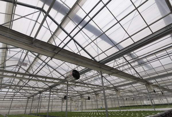 長在床上的蔬菜長啥樣?通州藏著個神奇植物工場,京東全資打造 長在床上的蔬菜長啥樣?通州藏著個神奇植物工場,京東全資打造