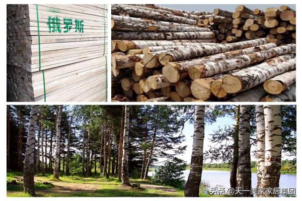 您知道後現代輕奢傢俱風格一般用哪些實木原材嗎？