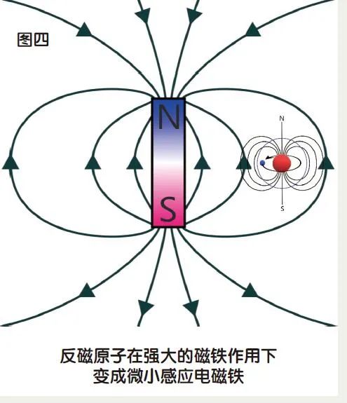 青蛙都學會挑戰重力了,人類如何“抗重力”實現飛翔? 青蛙都學會挑戰重力了,人類如何“抗重力”實現飛翔?