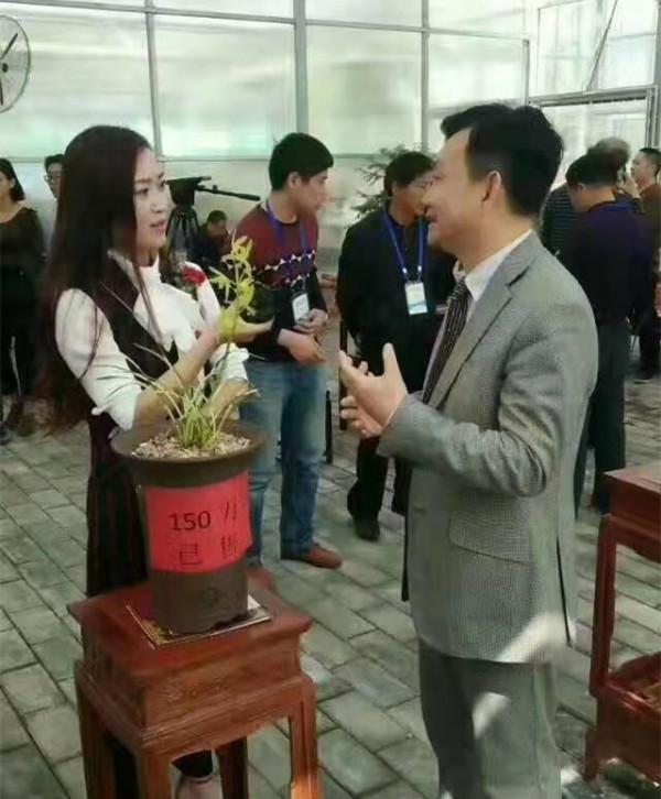 4年前,陝西蘭展上一顆蕙蘭獲得特金獎,後來以150萬元的價格成交 4年前,陝西蘭展上一顆蕙蘭獲得特金獎,後來以150萬元的價格成交