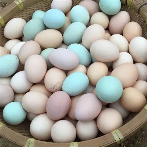 浙江最美公路 浙江最美公路