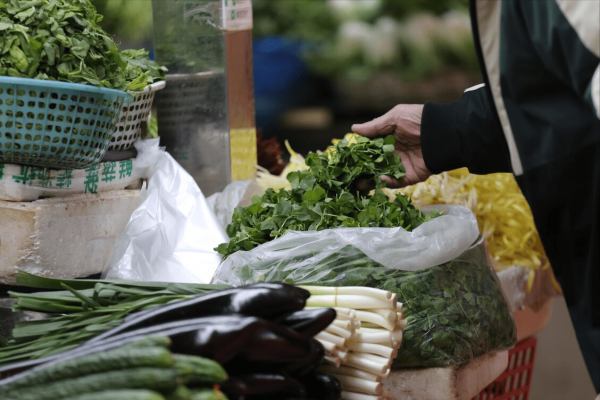 立春後，這5款春菜正當季，多給家人吃，鮮嫩又便宜，強身又健體