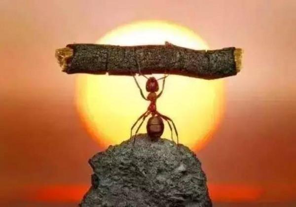 10個小故事,故事很短,道理很深 10個小故事,故事很短,道理很深