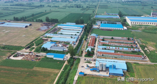 同樣養20萬隻蛋雞，他比別人多收入上百萬元，奧秘是啥？