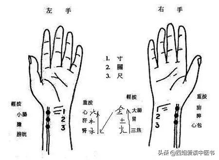 中醫知識每日一讀:敖氏傷寒金鏡錄 黑尖舌 裡圈舌 中醫知識每日一讀:敖氏傷寒金鏡錄 黑尖舌 裡圈舌