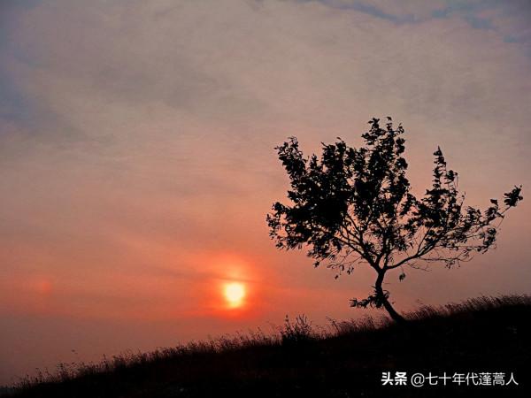 我是故鄉的遊客