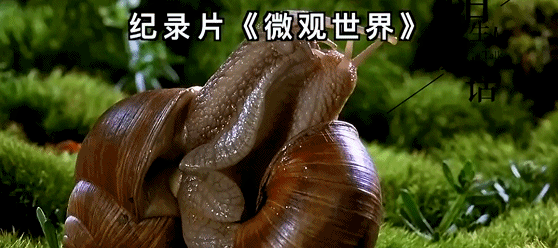 今天，曝光全國電影院最“黑”一幕