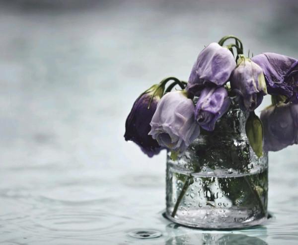 最愛記仇的星座:忍著你,讓著你,但也不會放過你 最愛記仇的星座:忍著你,讓著你,但也不會放過你