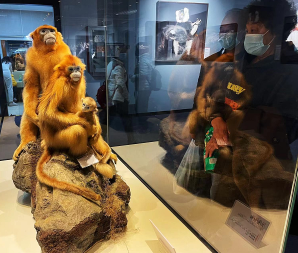 48幅肖像定格動人神態，到自然博物館與瀕危動物&OpenCurlyDoubleQuote;對話&rdquo;