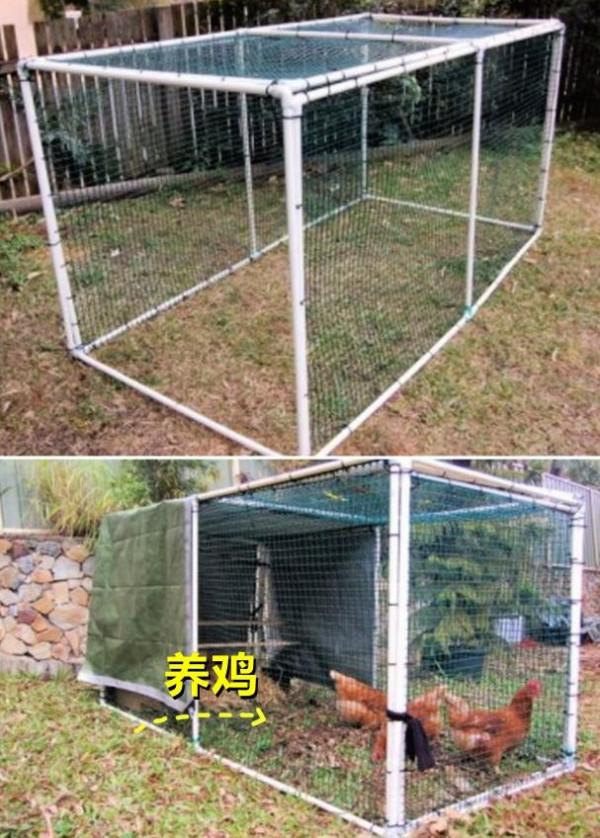 我都想好了,院子裡用塑膠管圈一塊地,四周兜張網鬆鬆土種點菜吃 我都想好了,院子裡用塑膠管圈一塊地,四周兜張網鬆鬆土種點菜吃