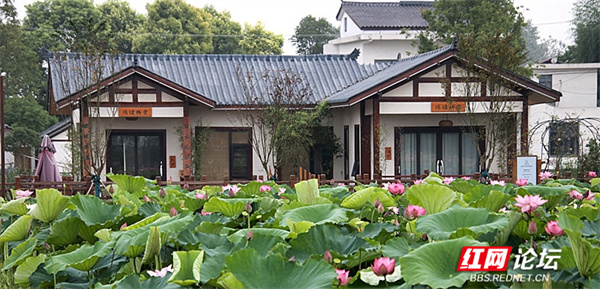 現在農村的房子都這麼好看了嗎？看著讓人心動