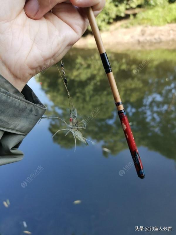 那個釣蝦仔又來了，順便開光新做的小物竿