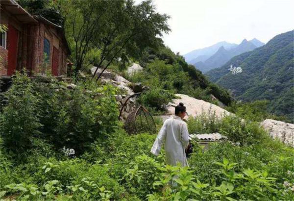 雲南白藥創始人：當年因拒交秘方被軟禁而死，建國後妻子主動上交