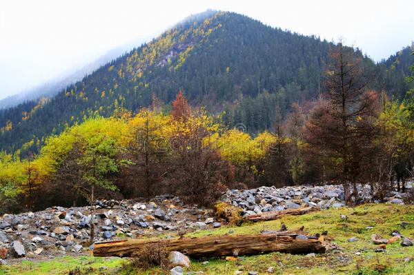 中國最恐怖的10大生命禁地2——羌塘自然保護區 中國最恐怖的10大生命禁地2——羌塘自然保護區