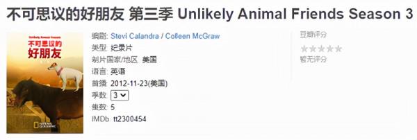 這隻貓天天和貓頭鷹幹架,卻打出了一段黑白配神仙友情 這隻貓天天和貓頭鷹幹架,卻打出了一段黑白配神仙友情