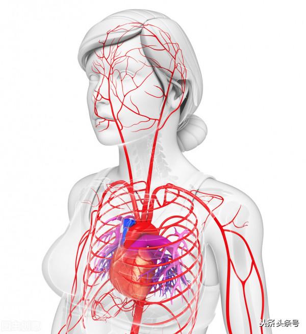 老年高血壓，壓差很大，要不要吃降壓藥？看完明白了