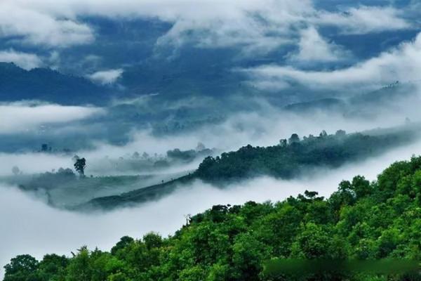 盤點一下，普洱茶10個名山頭，一山一味
