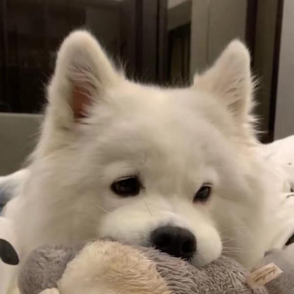 文案｜現在的生活沒有不開心 也沒有開心