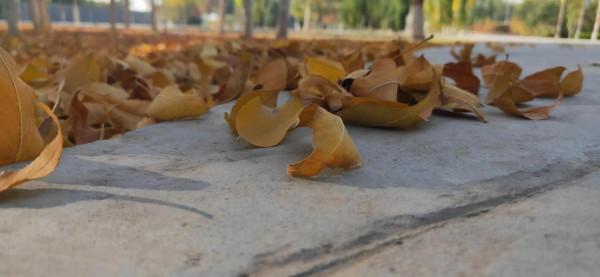 西北塞上江南——秋天