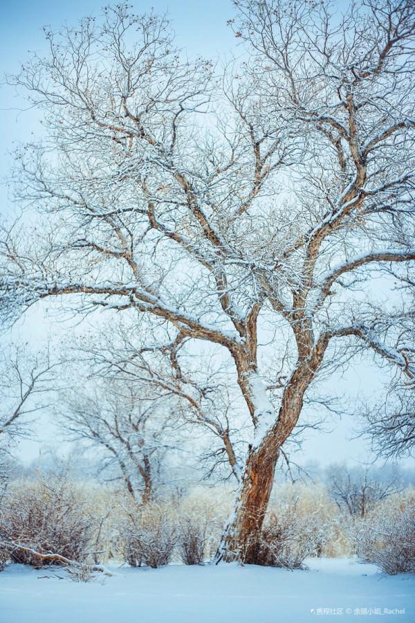 冬天去看雪，這7個地方實在是太迷人了，去幾次都不會膩