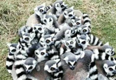 冬天雖冷,因為有你相擁而溫暖 冬天雖冷,因為有你相擁而溫暖