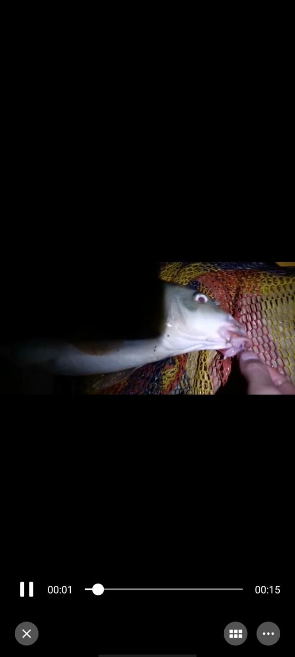 垂釣之旅——日行千里，只為漁你相見