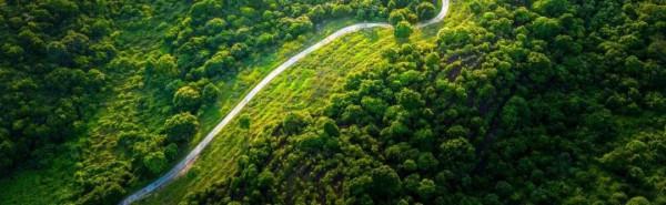 人間四月天，在坪山眼見皆美好