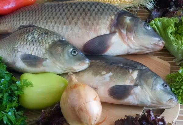 常吃魚對身體是好是壞?提醒:這3種魚儘量少吃,不妨看看 常吃魚對身體是好是壞?提醒:這3種魚儘量少吃,不妨看看