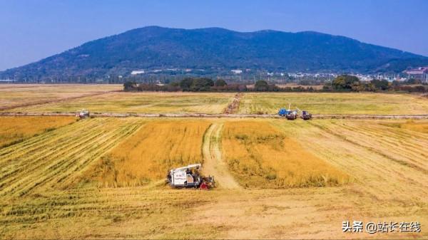 霸屏預警！美！滴！很