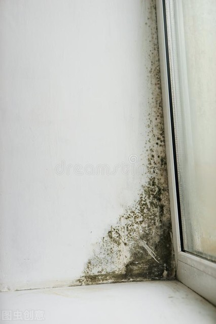 外牆滲水漏水,如何維修,具體該怎麼辦? 外牆滲水漏水,如何維修,具體該怎麼辦?