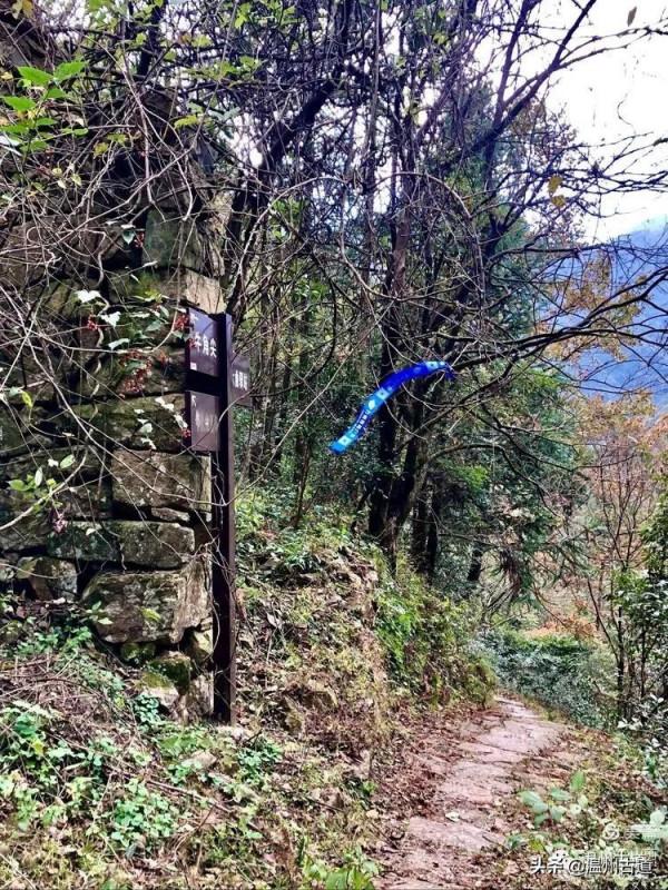 這條被譽為“浙江西南第一嶺”的紅楓古道你去過嗎？
