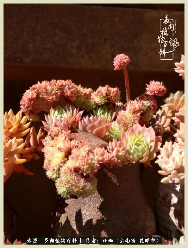 用一份熱愛，溫暖一段時光