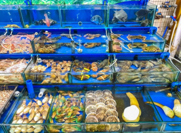 含“寄生蟲”最多的3種海鮮,沒營養還貴,很多人還天天吃 含“寄生蟲”最多的3種海鮮,沒營養還貴,很多人還天天吃