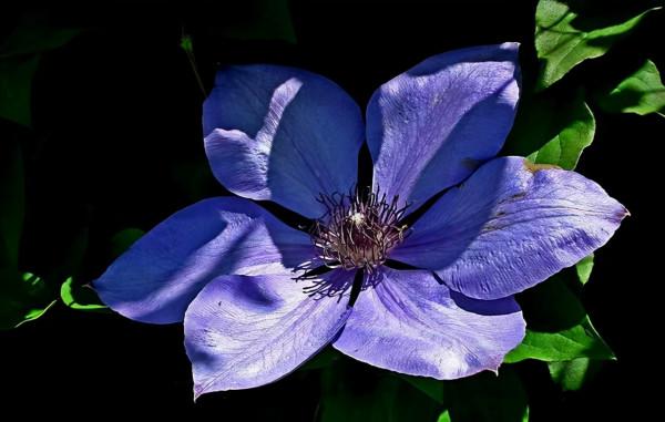 與人交往：別做這3件事，是大智慧