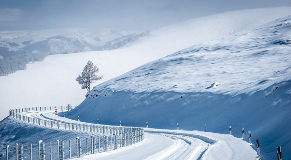 出國有什麼了不起?你來過新疆嗎? 出國有什麼了不起?你來過新疆嗎?