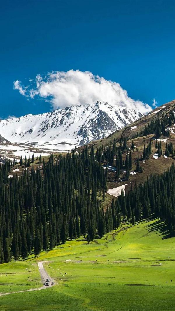 新疆那拉提草原風光 新疆那拉提草原風光