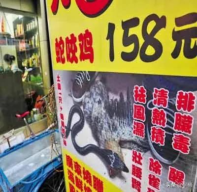 毒蛇咬過的雞更美味?以前流行的“蛇咬雞”,為什麼被叫停了? 毒蛇咬過的雞更美味?以前流行的“蛇咬雞”,為什麼被叫停了?