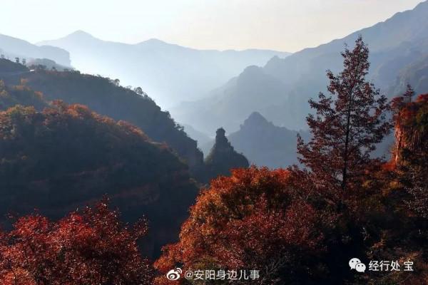 每一步都是風景！看過來
